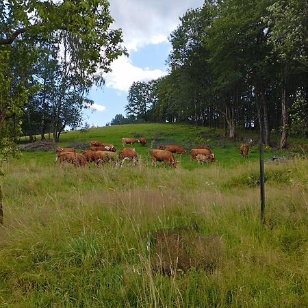 Zimmeruv Statek Mikulášovice Exteriör bild
