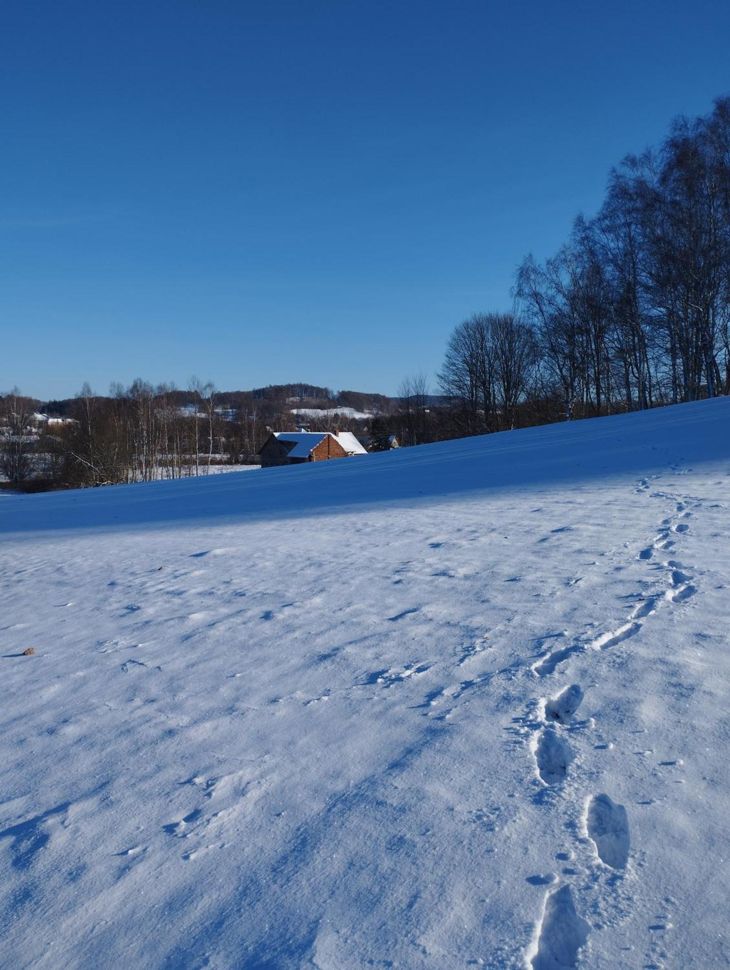 Zimmeruv Statek Mikulášovice Exteriör bild