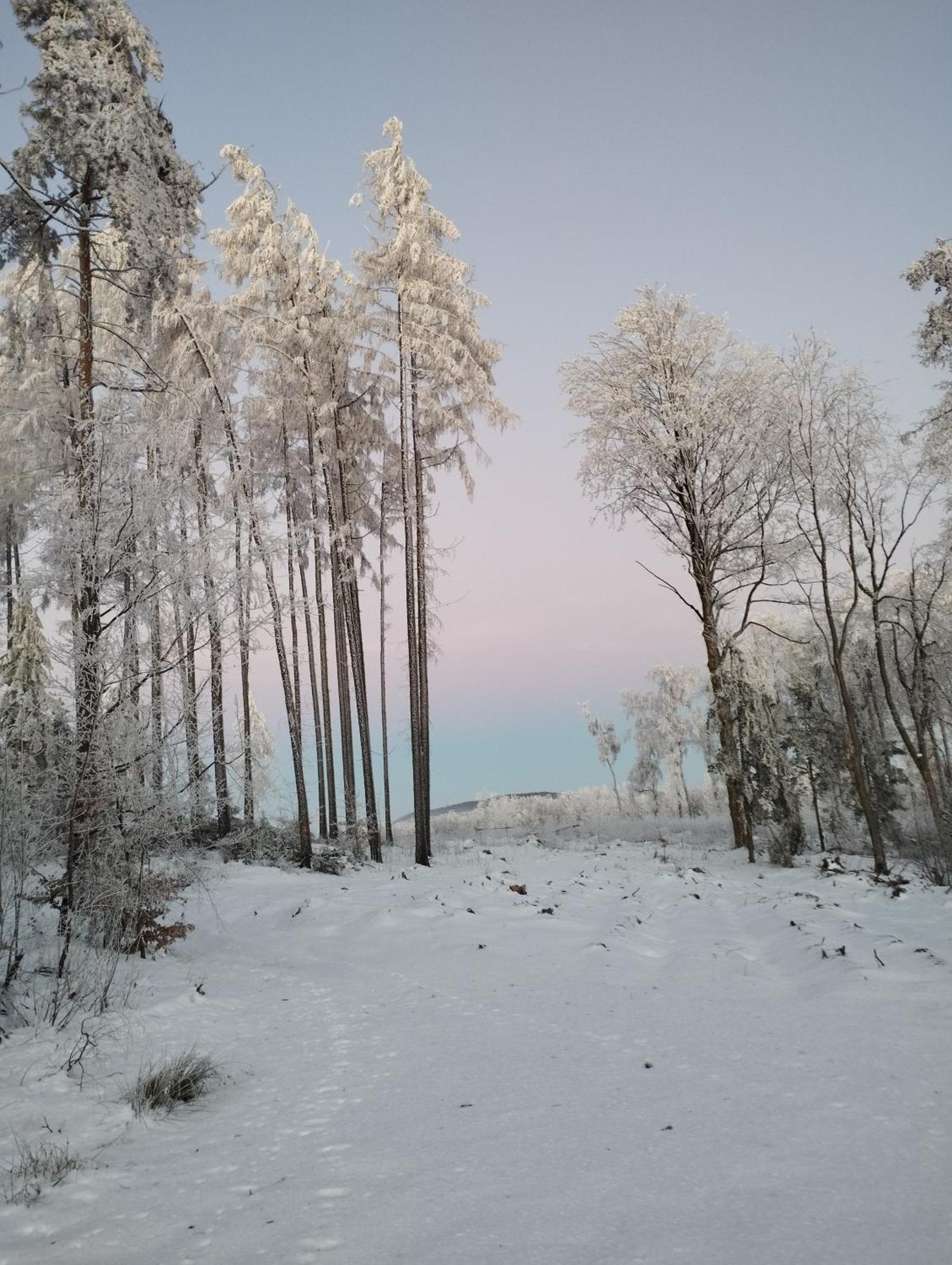 Zimmeruv Statek Mikulášovice Exteriör bild