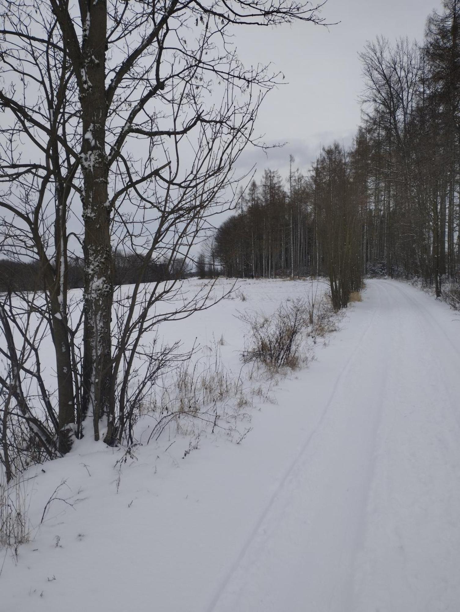 Zimmeruv Statek Mikulášovice Exteriör bild